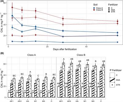 Limitations of soil-applied non-microbial and microbial biostimulants in enhancing soil P turnover and recycled P fertilizer utilization - a study with and without plants